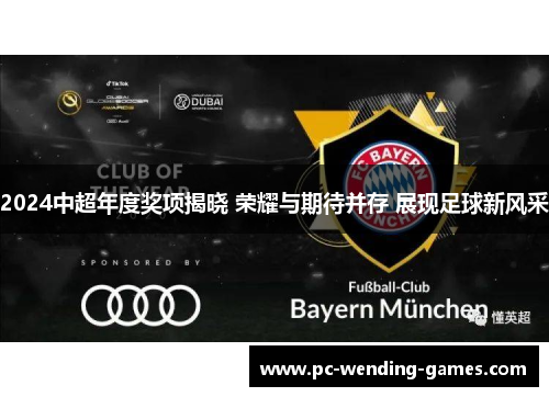 2024中超年度奖项揭晓 荣耀与期待并存 展现足球新风采 2024中超年度奖项揭晓 荣耀与期待并存 展现足球新风采