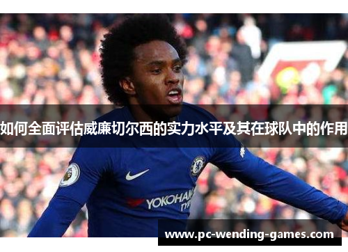 如何全面评估威廉切尔西的实力水平及其在球队中的作用