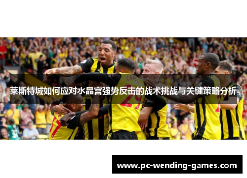 莱斯特城如何应对水晶宫强势反击的战术挑战与关键策略分析