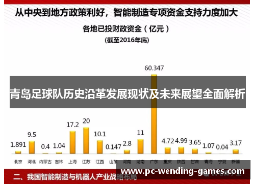 青岛足球队历史沿革发展现状及未来展望全面解析